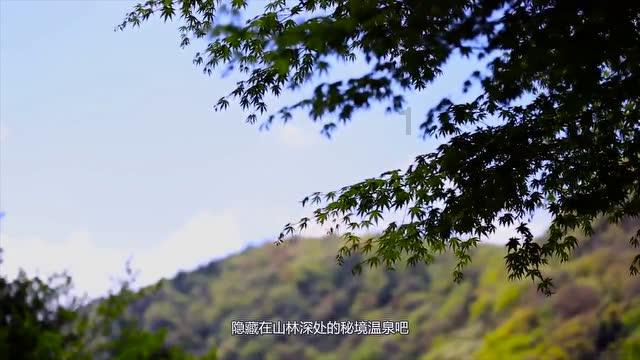 许晴参股公司被强制执行，公司目前的境况如何？游戏画面