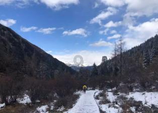 张自忠牺牲后，日军战机三次飞抵灵柩上空，却未投一弹游戏画面